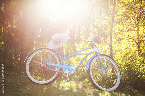  an old bike leaning beside a tree toned with a retro vintage in