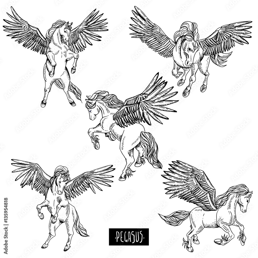 Obraz premium Vintage monochrome vector set of winged pegasus