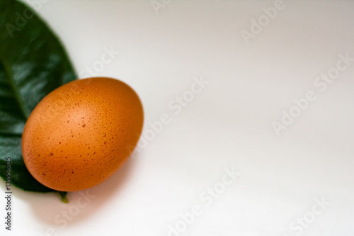 Wallpaper Mural Chicken eggs on rustic black-and-white background Torontodigital.ca