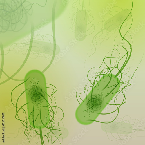 Group of E. coli Bacteria - Vector Illustration