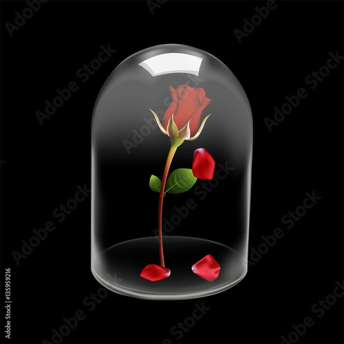 Glass dome cover Rose flower