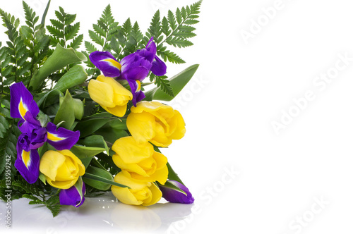 bunch of yellow tulips and blue irises on white background © sacura14