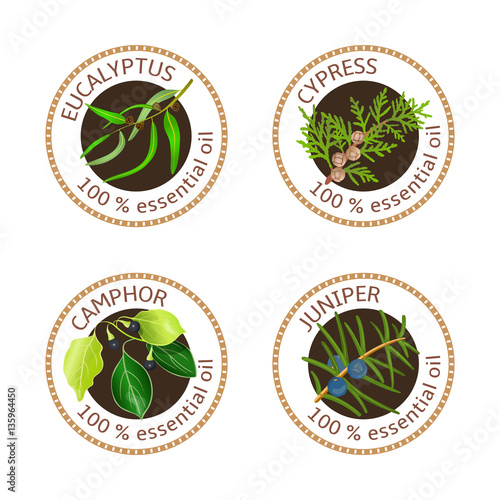 Set of essential oils labels. Eucalyptus, cypress, camphor tree, juniper