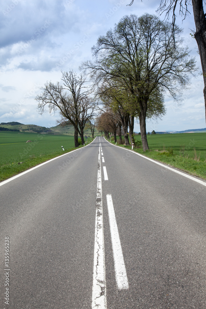 Fototapeta premium asphalt road through the green field and clouds on blue sky