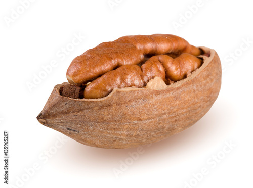 one pecan nuts isolated on white background