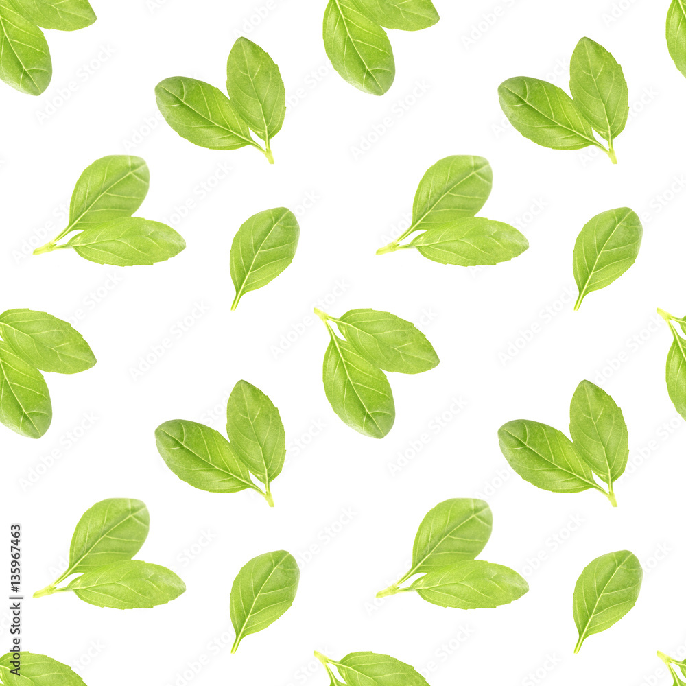 Basil leaf seamless pattern Basil leaf seamless pattern