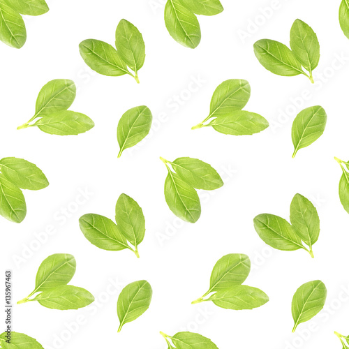 Basil leaf seamless pattern