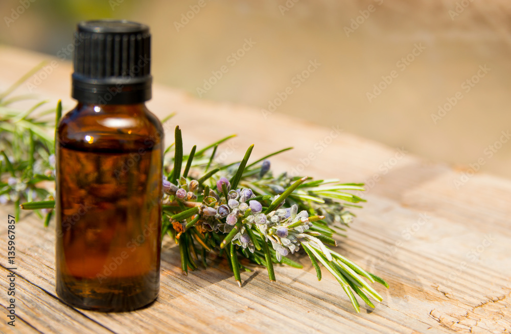 Rosemary oil in small glass bottle Rosemary oil in small glass bottle