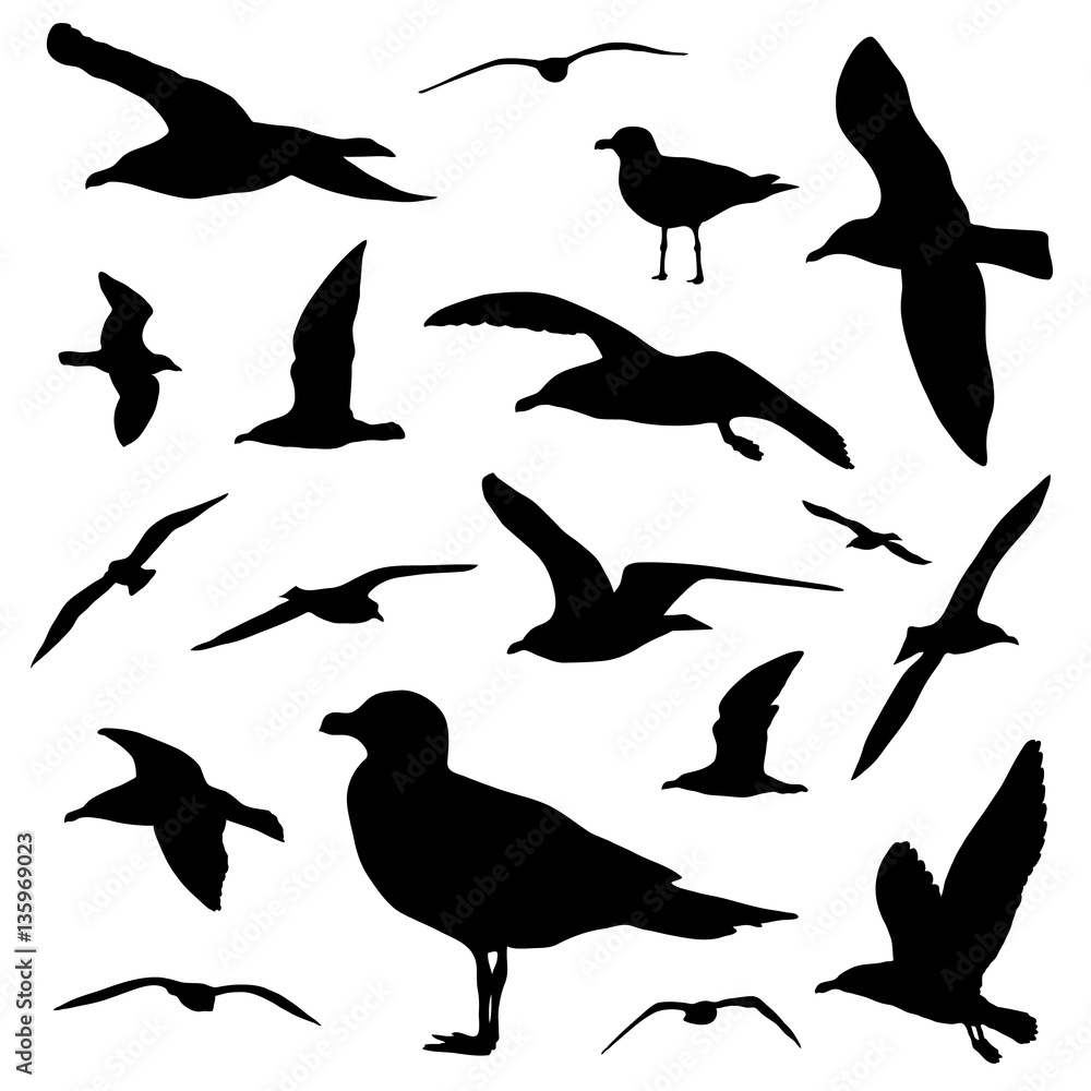 Obraz premium Seagull silhouette set isolated on white background vector