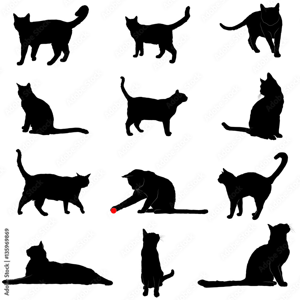 Domestic cat silhouettes