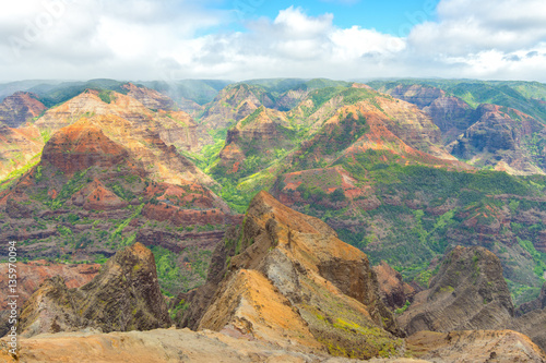 Waimea Canyon lookout in Kauai island  Hawaii