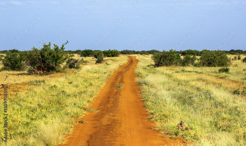 Road in Tsavo East National park. Kenya.