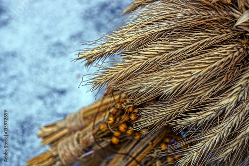 Пшеничные колоски