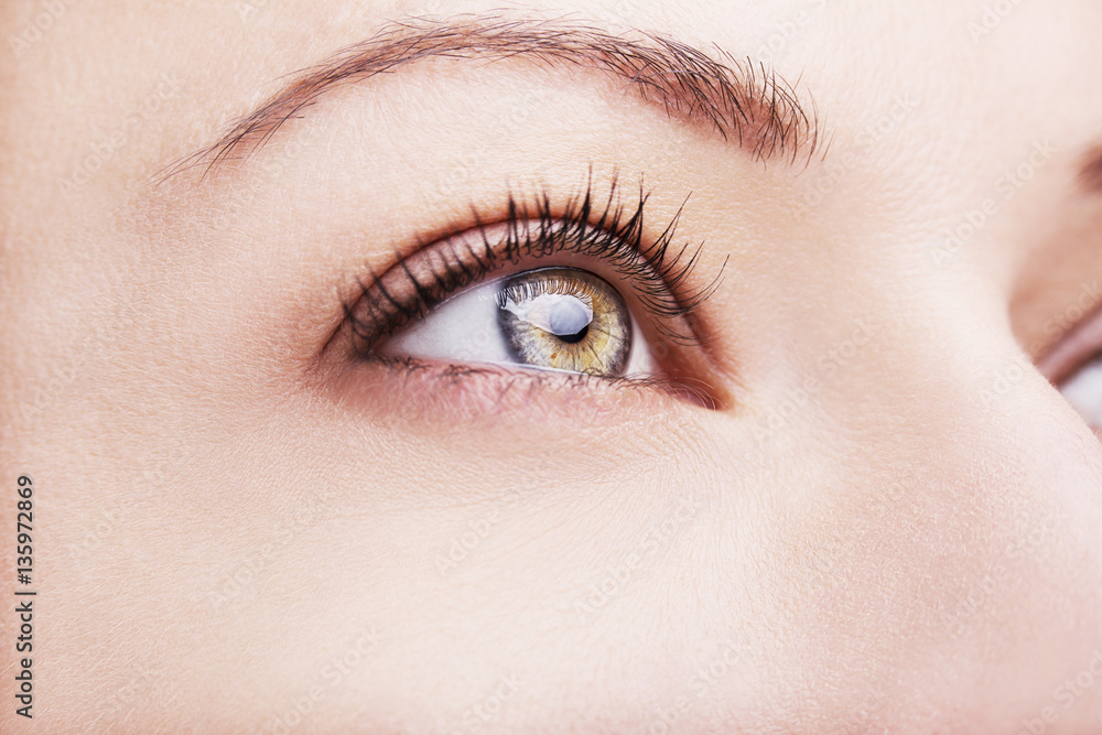 Fototapeta premium A beautiful insightful look brown woman's eye