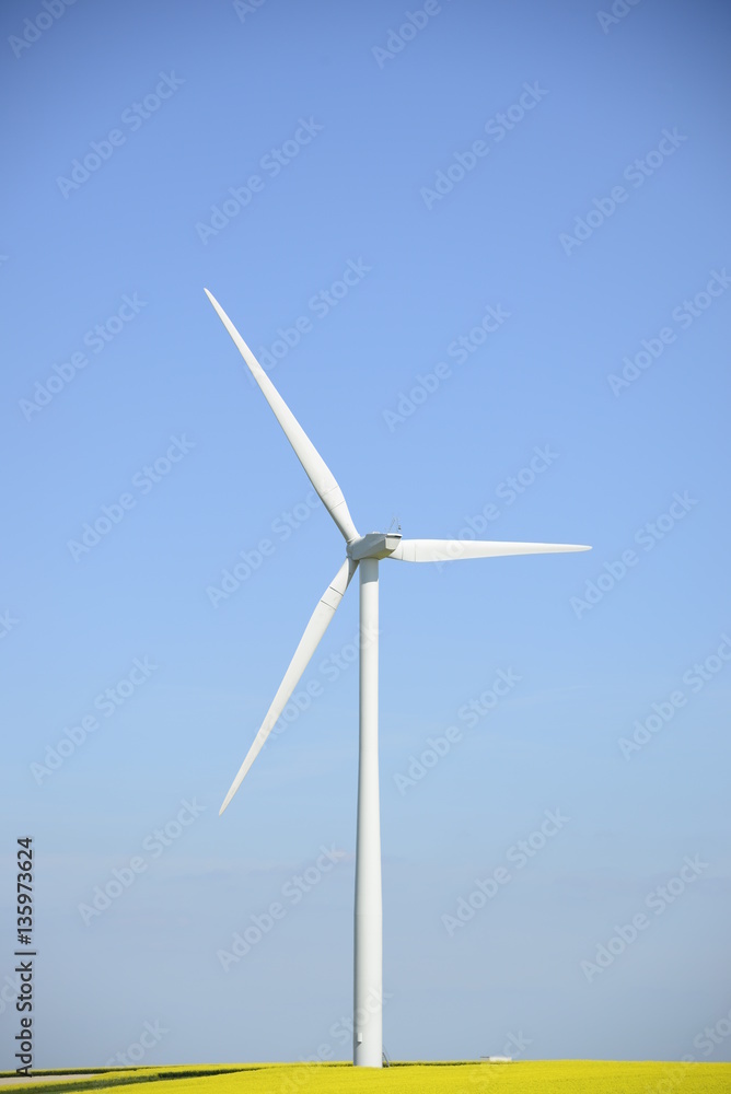 Eolienne près de Reims, France - Wind turbine near Reims in Champagne, France