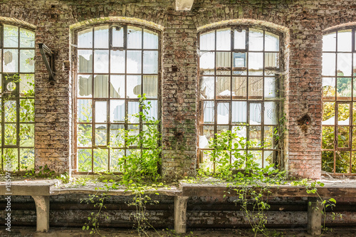 Industial windows in an abondoned factory photo
