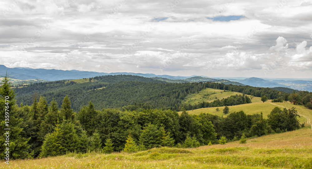 Fototapeta premium Carpathians mountains landscape