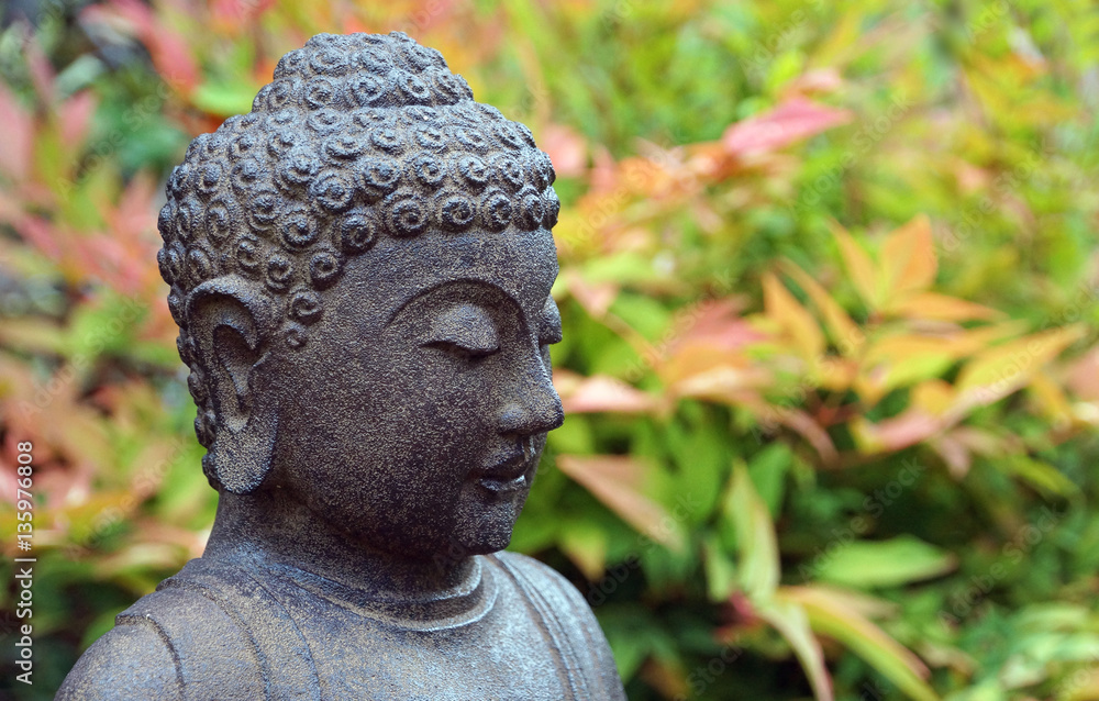 Buddha profile