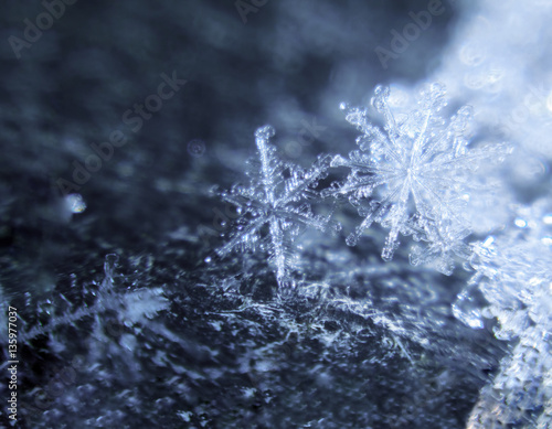 Snowflakes couple at the dark blue background © Sergii Mironenko