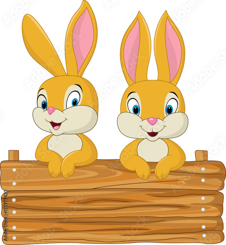 Little bunny holding wooden sign 