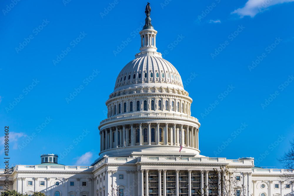 United States Capitol Building - Washington, DC, USA