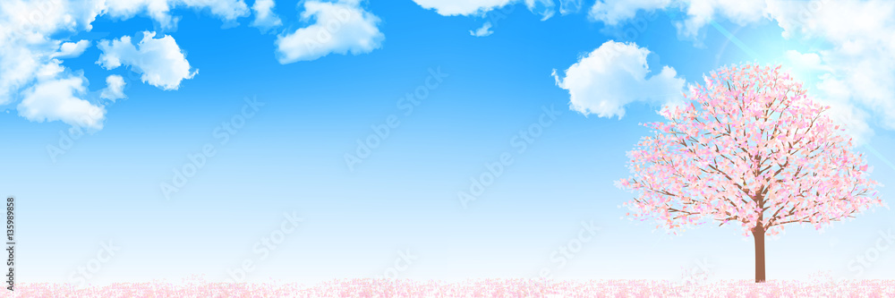 桜 春 花 背景 桜 春 花 背景