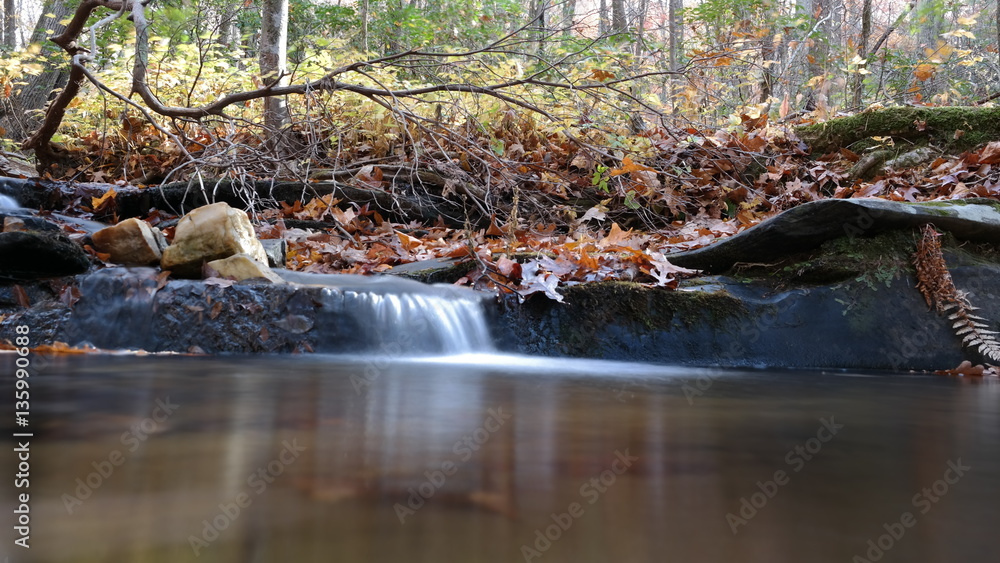 Fototapeta premium Jasper Georgia 0706