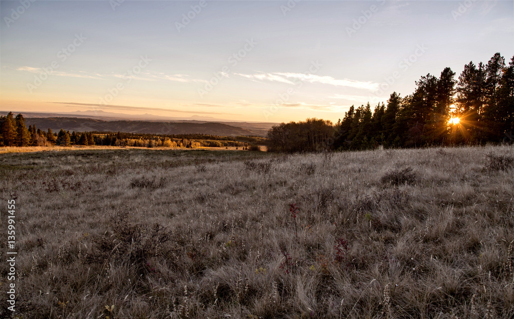 Autumn Colors Cypress Hills Canada Autumn Colors Cypress Hills Canada