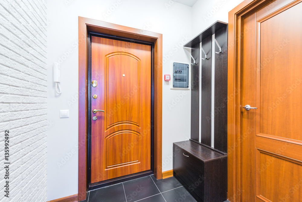 Hallway in modern style and the main door Hallway in modern style and the main door
