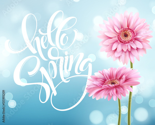 Fototapeta Naklejka Na Ścianę i Meble -  Gerbera Flower Background and Hello Spring Lettering. Vector Illustration