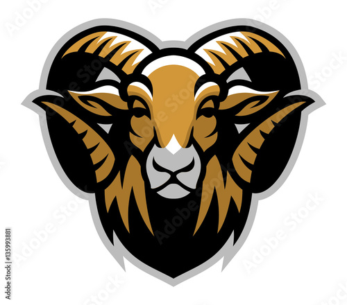 Head of ram mascot photo