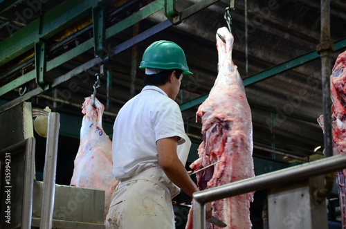 Estadios de carenada de ganado vacuno en frigorífico, camión, media res, carne