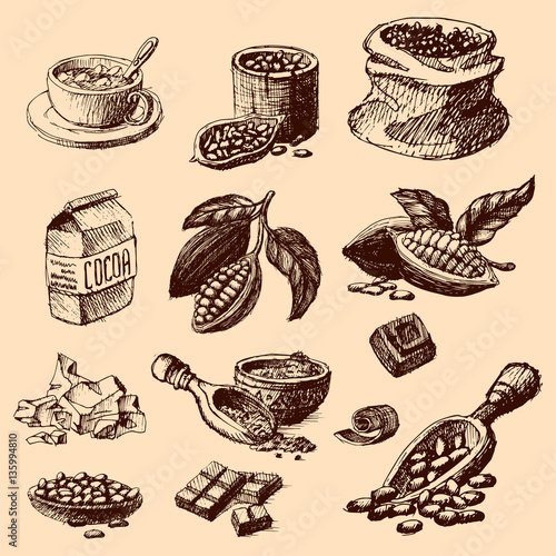 Vector cocoa hand drawn sketch illustration.