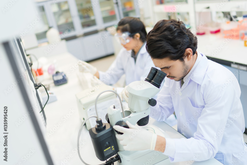 group of scientists working at the laboratory .she use microscop group of scientists working at the laboratory .she use microscop