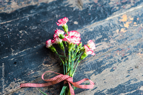 Obraz na plátně Festive frame with carnation flowers