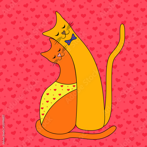 Love couple of cats