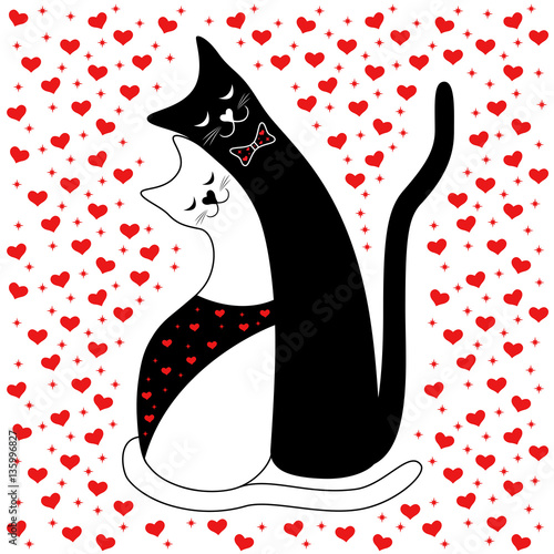 Cat Couple in Love