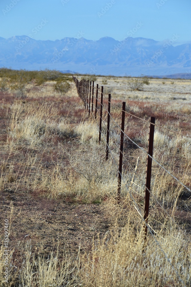 Obraz premium Desert Fence