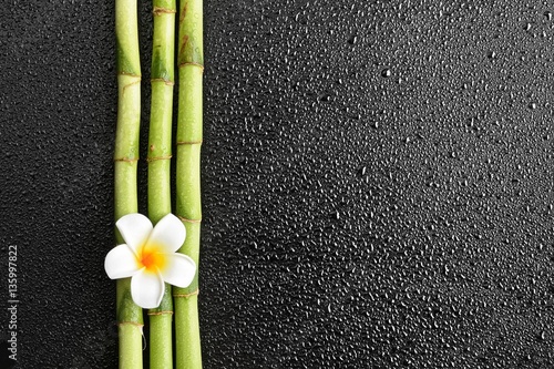 frangipani flower and bamboo on the black background