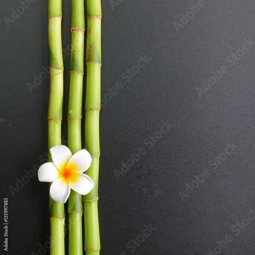 frangipani flower and bamboo on the black background