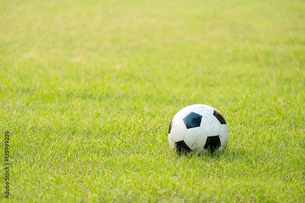 wet soccer ball in a soccer field in the morning. Stock Photo | Adobe Stock