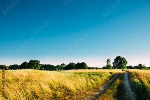 Country road in the countryside. Landscape