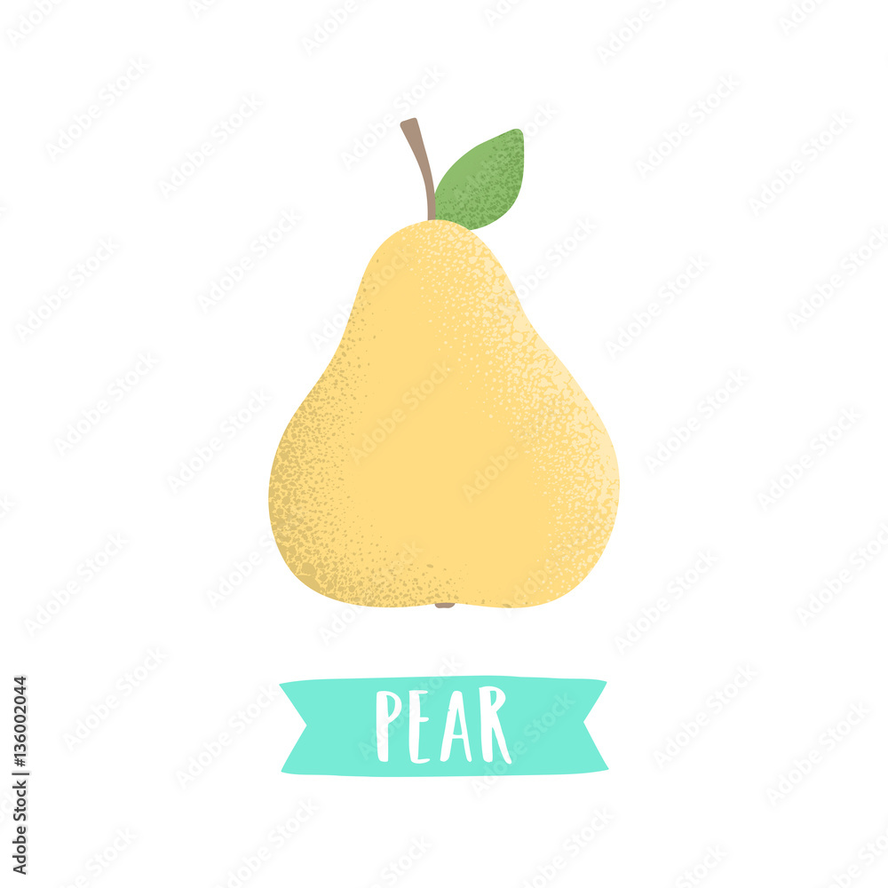Hand draw pear isolated on white. Vector illustration Hand draw pear isolated on white. Vector illustration