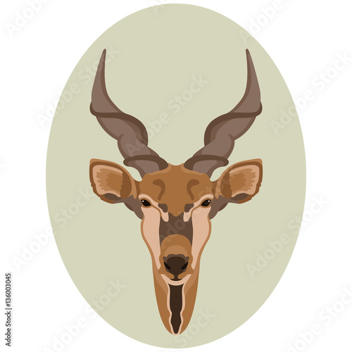 gazelles head vector illustration style Flat