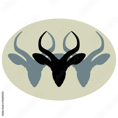 gazelles head vector illustration  set
