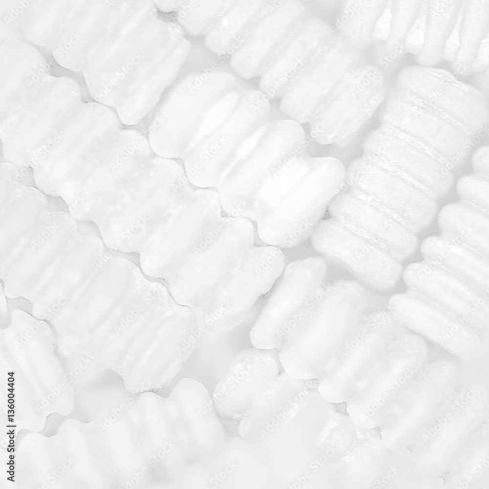 White Texture of Crinoid Plant Fossil White Texture of Crinoid Plant Fossil