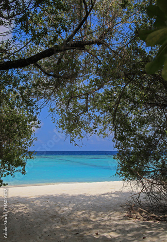 Fototapeta Naklejka Na Ścianę i Meble -  Bright blue sea beside the ark of tropical trees, Maldives