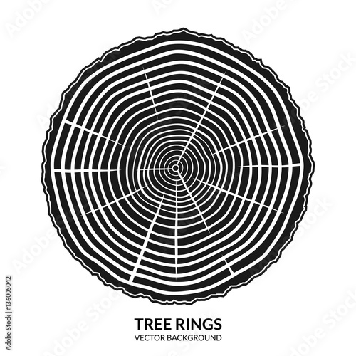Analyzing Tree Ring Data Sequences | Center for Science Education