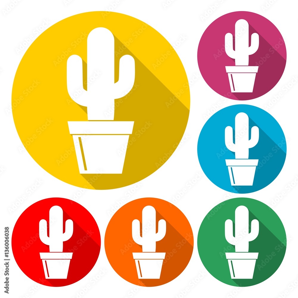 Fototapeta premium Cactus Collection Vector - Illustration
