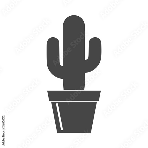 Cactus Collection Vector - Illustration